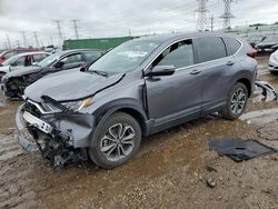 Salvage cars for sale at Elgin, IL auction: 2020 Honda CR-V EX