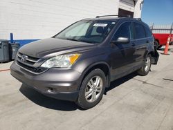 Salvage cars for sale at Farr West, UT auction: 2010 Honda CR-V EX