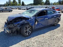 Salvage cars for sale from Copart Graham, WA: 2021 Nissan Maxima SV