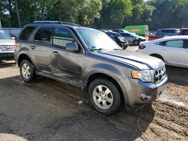 2011 Ford Escape Limited