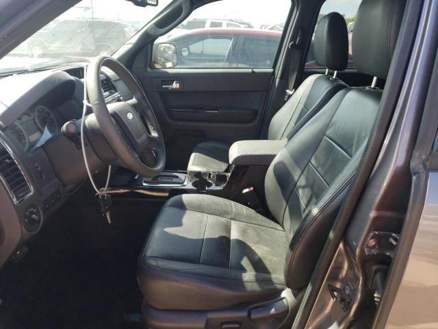 2010 Ford Escape Limited