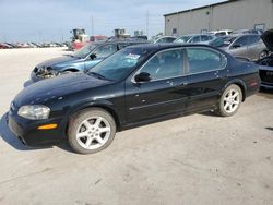 Salvage cars for sale at Haslet, TX auction: 2002 Nissan Maxima GLE