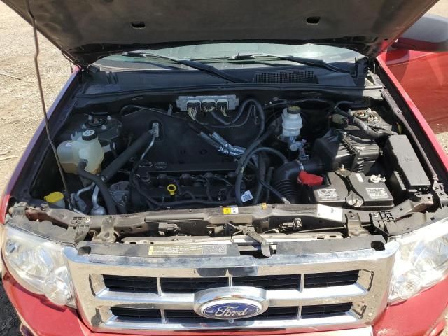 2010 Ford Escape XLT