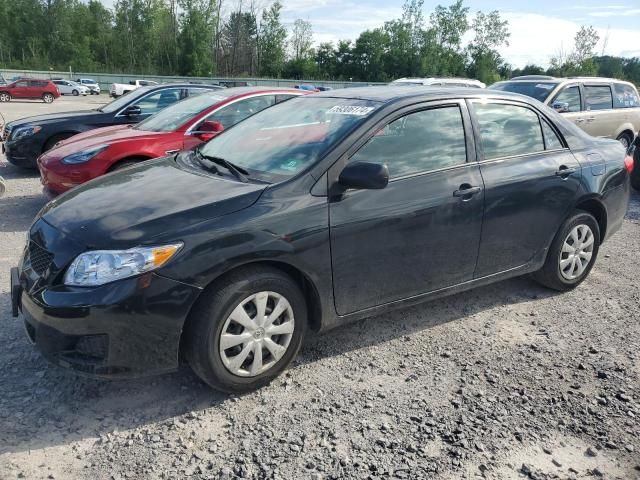 2010 Toyota Corolla Base