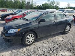 Salvage cars for sale at Leroy, NY auction: 2010 Toyota Corolla Base