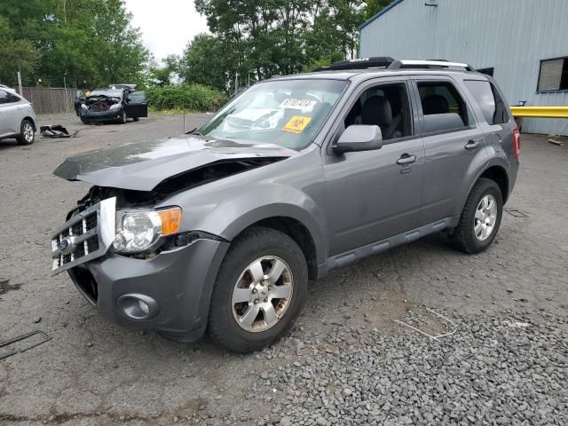 2011 Ford Escape Limited