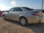 2009 Toyota Camry SE