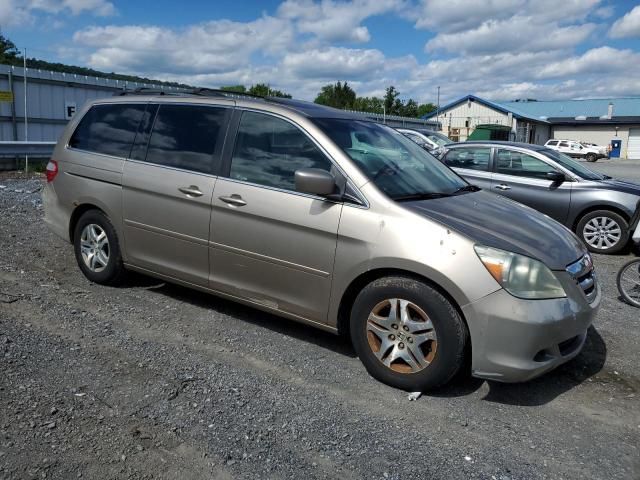 2005 Honda Odyssey EXL