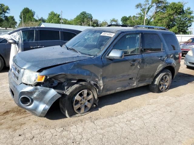 2010 Ford Escape Limited