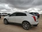 2010 Cadillac SRX Performance Collection