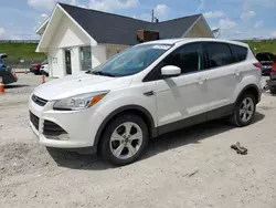 Salvage cars for sale from Copart Northfield, OH: 2014 Ford Escape SE