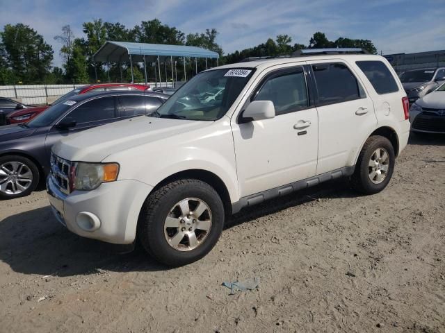 2011 Ford Escape Limited