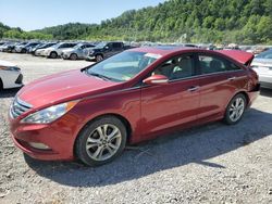 Hyundai salvage cars for sale: 2011 Hyundai Sonata SE