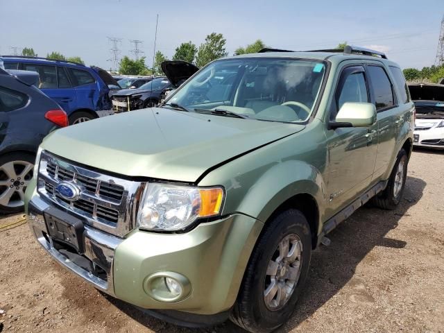 2010 Ford Escape Hybrid