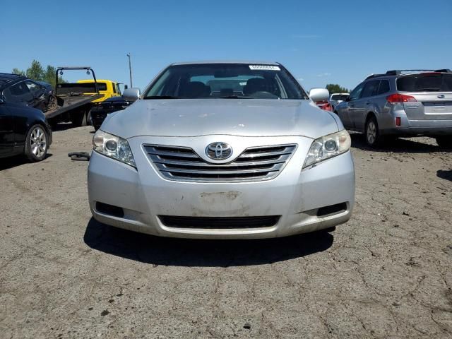 2009 Toyota Camry Hybrid