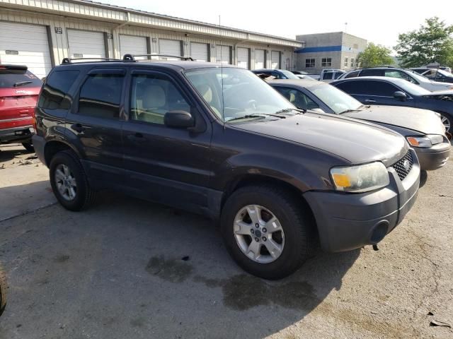 2006 Ford Escape XLT