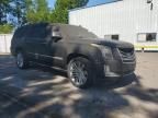 2019 Cadillac Escalade ESV Platinum