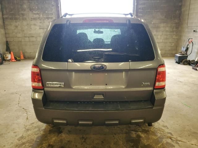 2011 Ford Escape XLT