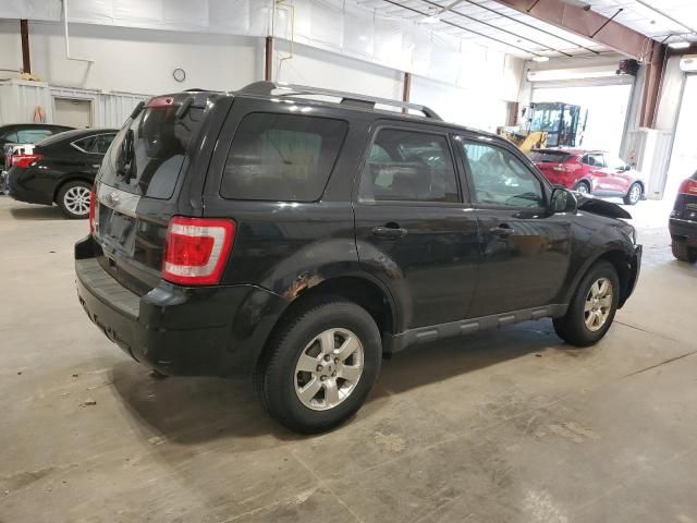 2011 Ford Escape Limited