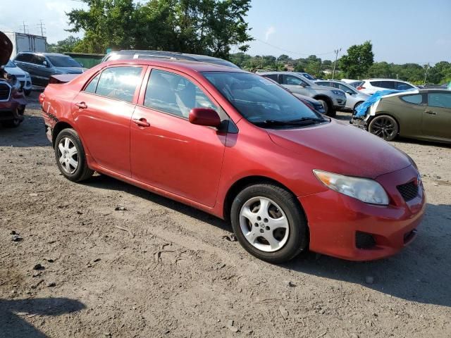 2010 Toyota Corolla Base