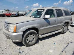 Cadillac salvage cars for sale: 2006 Cadillac Escalade Luxury