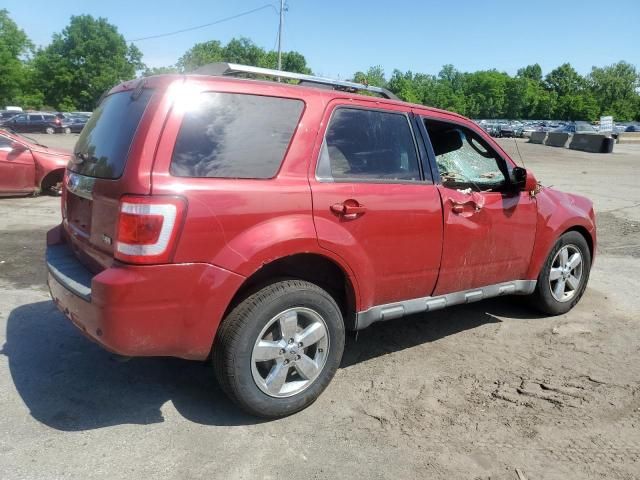 2011 Ford Escape Limited