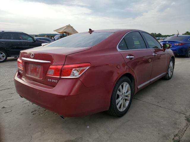 2010 Lexus ES 350