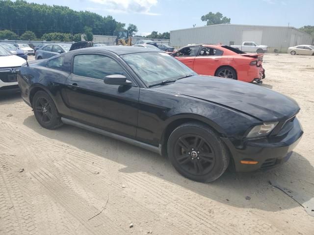 2010 Ford Mustang