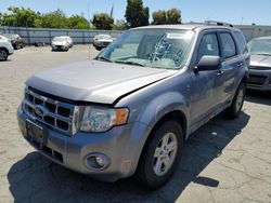 Ford Escape Vehiculos salvage en venta: 2008 Ford Escape HEV