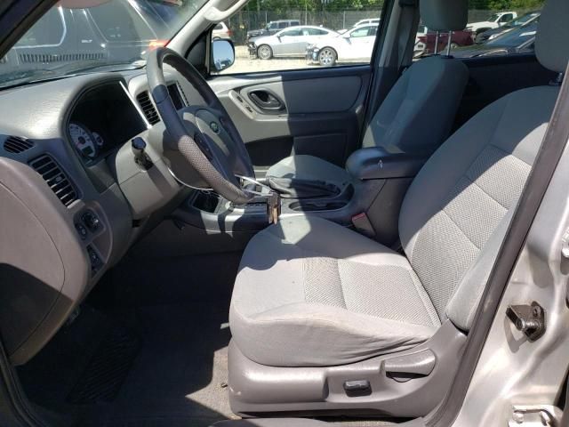 2007 Ford Escape XLT