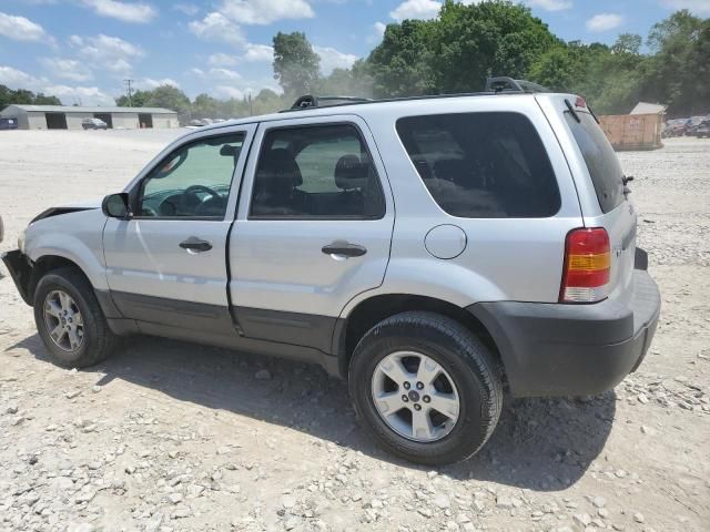 2005 Ford Escape XLT