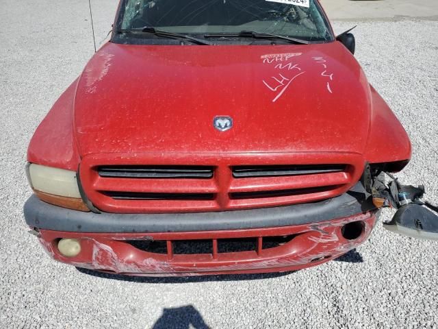 2001 Dodge Dakota Quattro