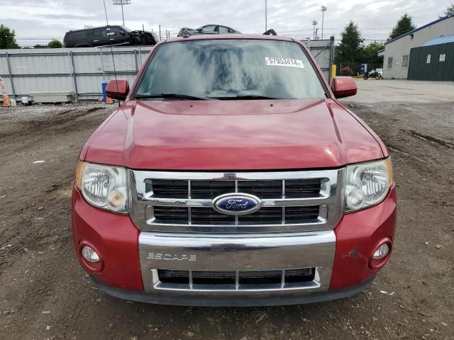 2011 Ford Escape Limited