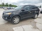 2012 KIA Sorento Base