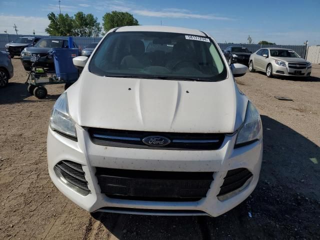 2013 Ford Escape SE