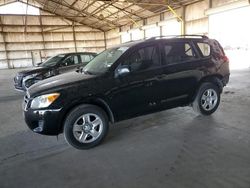 Salvage cars for sale at Phoenix, AZ auction: 2010 Toyota Rav4