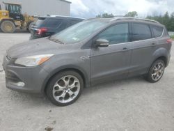 Vehiculos salvage en venta de Copart Leroy, NY: 2014 Ford Escape Titanium