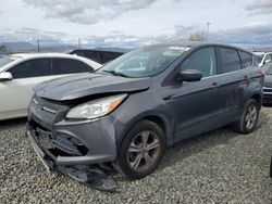 Salvage cars for sale at Reno, NV auction: 2014 Ford Escape SE