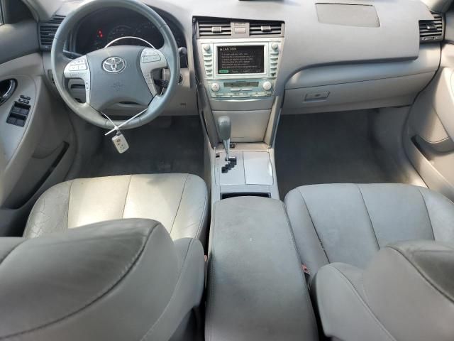 2009 Toyota Camry Hybrid