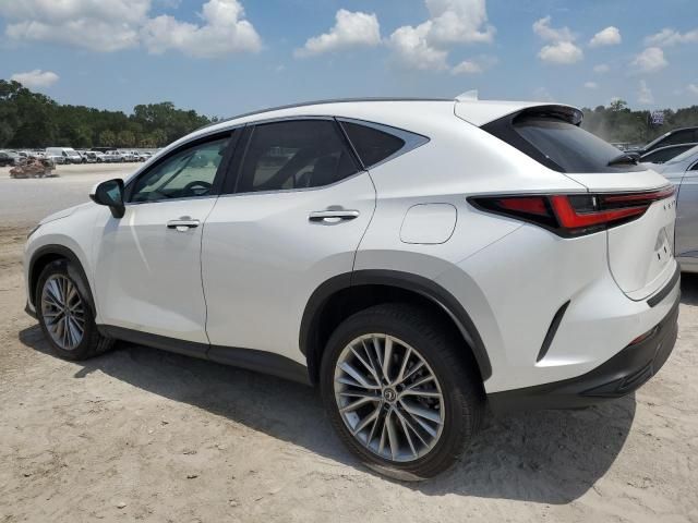 2022 Lexus NX 350H