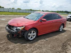 Salvage cars for sale at Houston, TX auction: 2014 Toyota Camry L