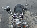 2001 Harley-Davidson Flstci