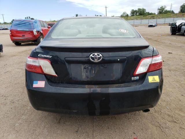 2009 Toyota Camry Hybrid