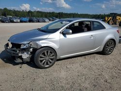 Salvage cars for sale at Harleyville, SC auction: 2011 KIA Forte SX