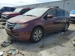 Salvage cars for sale at Jacksonville, FL auction: 2016 Honda Odyssey EXL