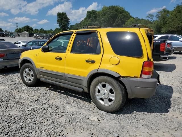 2001 Ford Escape XLT