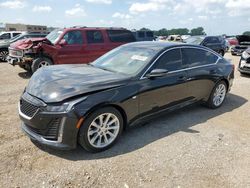 Cadillac CT5 salvage cars for sale: 2021 Cadillac CT5 Luxury