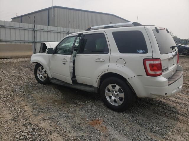 2010 Ford Escape Limited