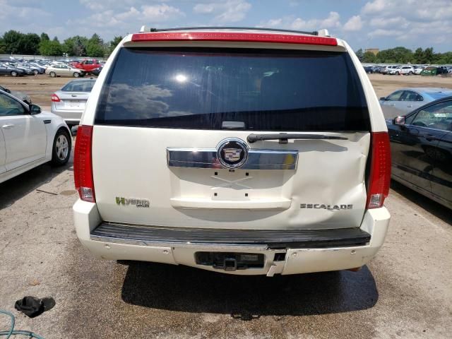 2009 Cadillac Escalade Hybrid