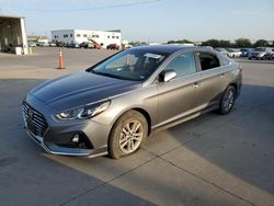 Hyundai Sonata se salvage cars for sale: 2019 Hyundai Sonata SE